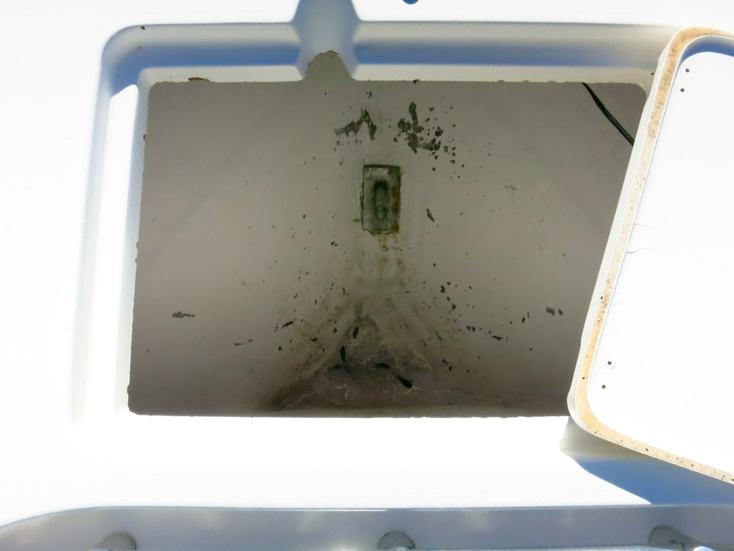 2020 Cobia 237 CC — photo 13