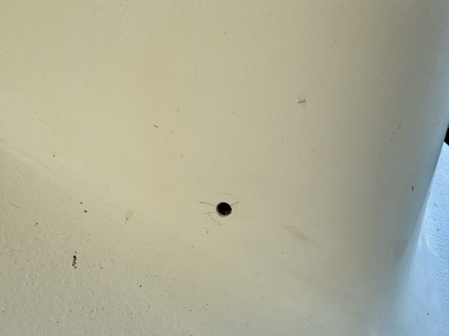 2004 Rinker 342 Fiesta Vee — photo 195