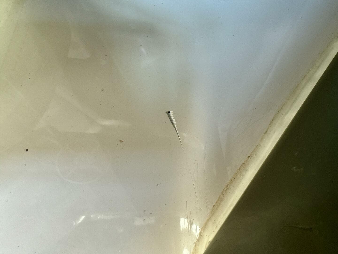 2004 Rinker 342 Fiesta Vee — photo 208