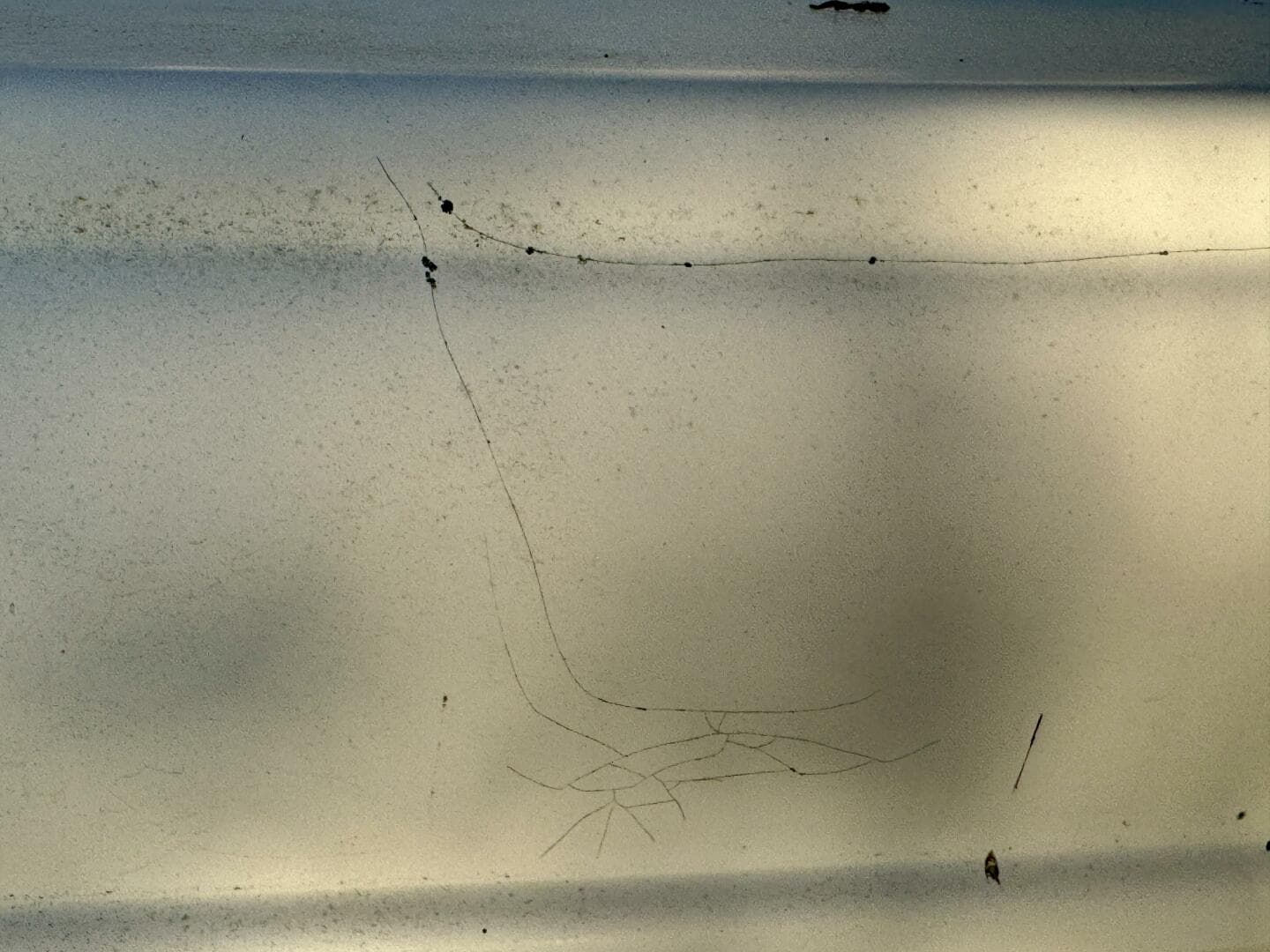 2004 Rinker 342 Fiesta Vee — photo 154