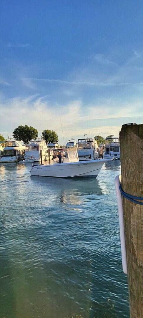 2005 Sea Fox 287 CC — photo 3