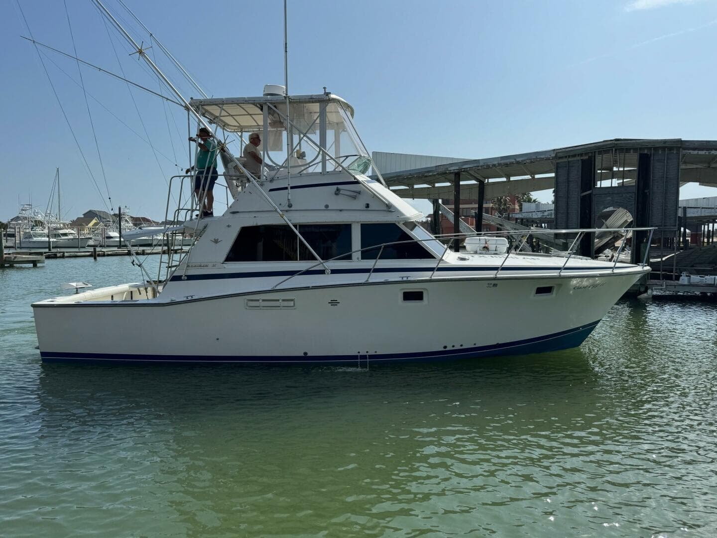 1983 Bertram 385 Convertible — photo 1