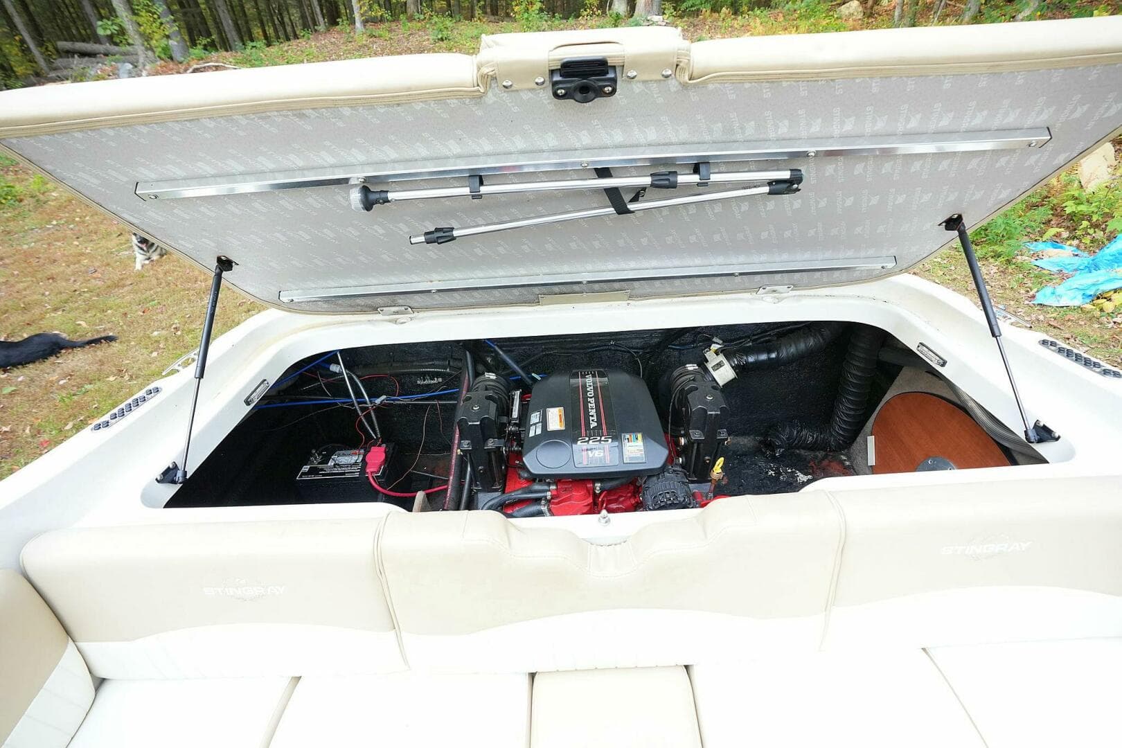 2016 Stingray 225 Cr — photo 82