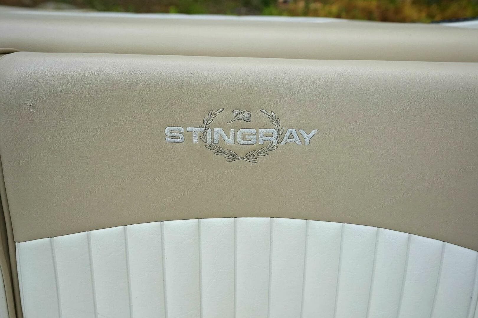 2016 Stingray 225 Cr — photo 59