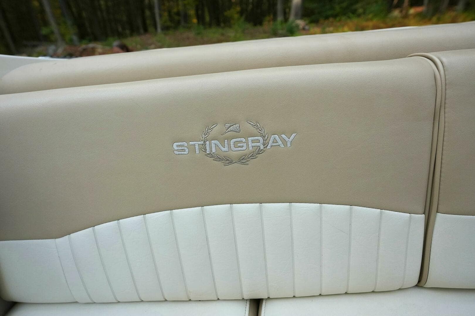 2016 Stingray 225 Cr — photo 32