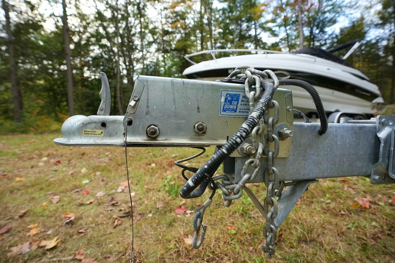 2016 Stingray 225 Cr — photo 100