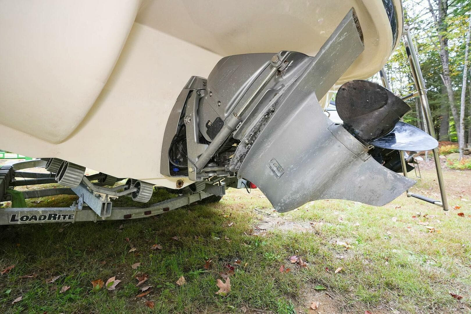 2016 Stingray 225 Cr — photo 6