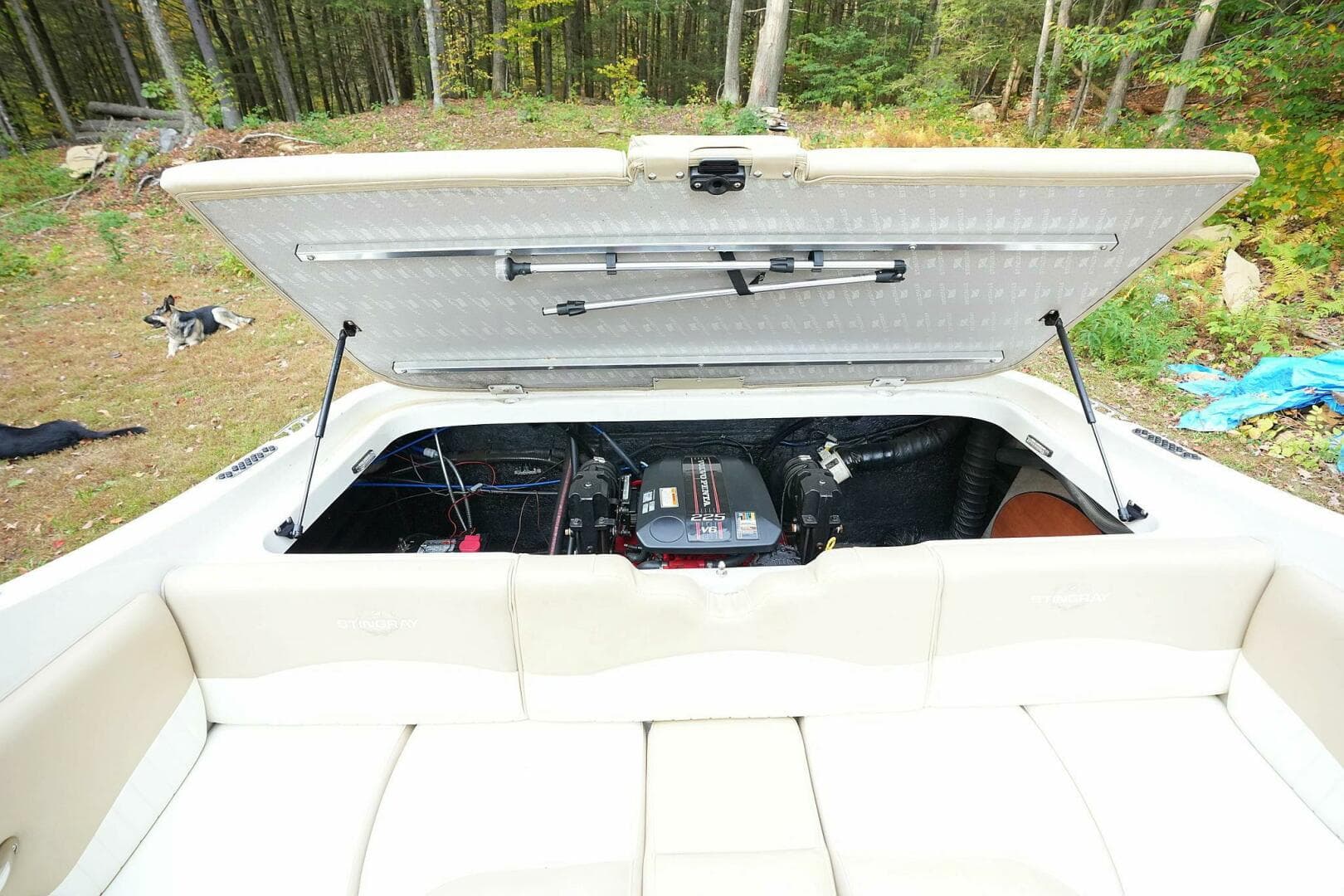 2016 Stingray 225 Cr — photo 45