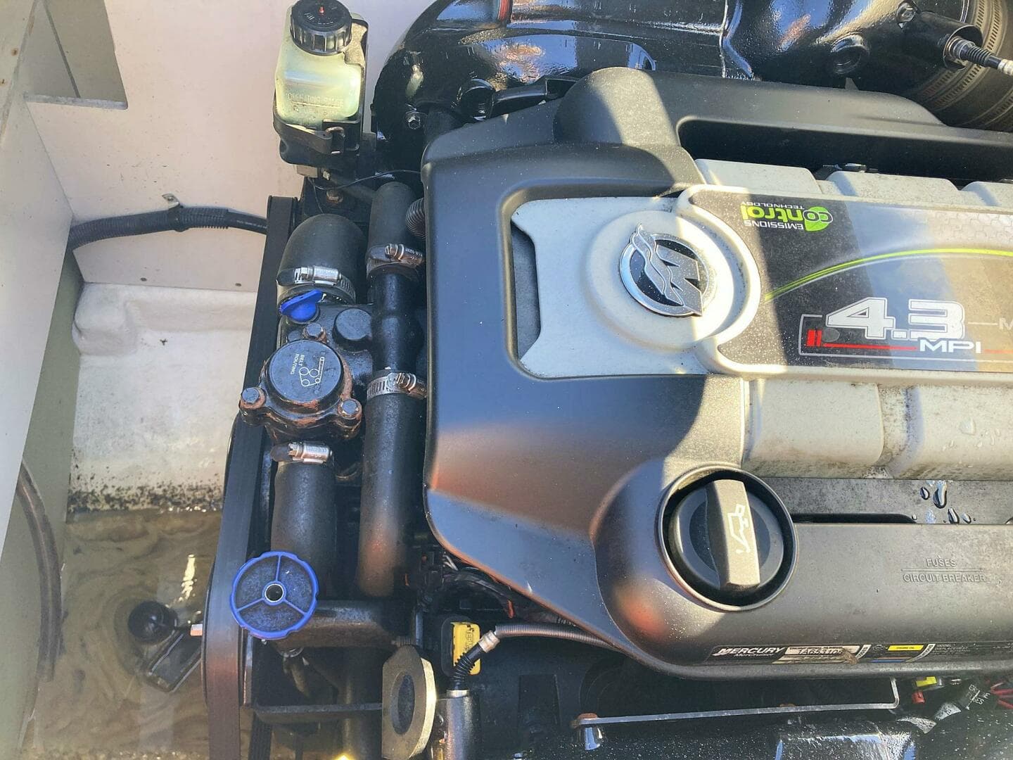 2012 Sea Ray 190 Sport — photo 30