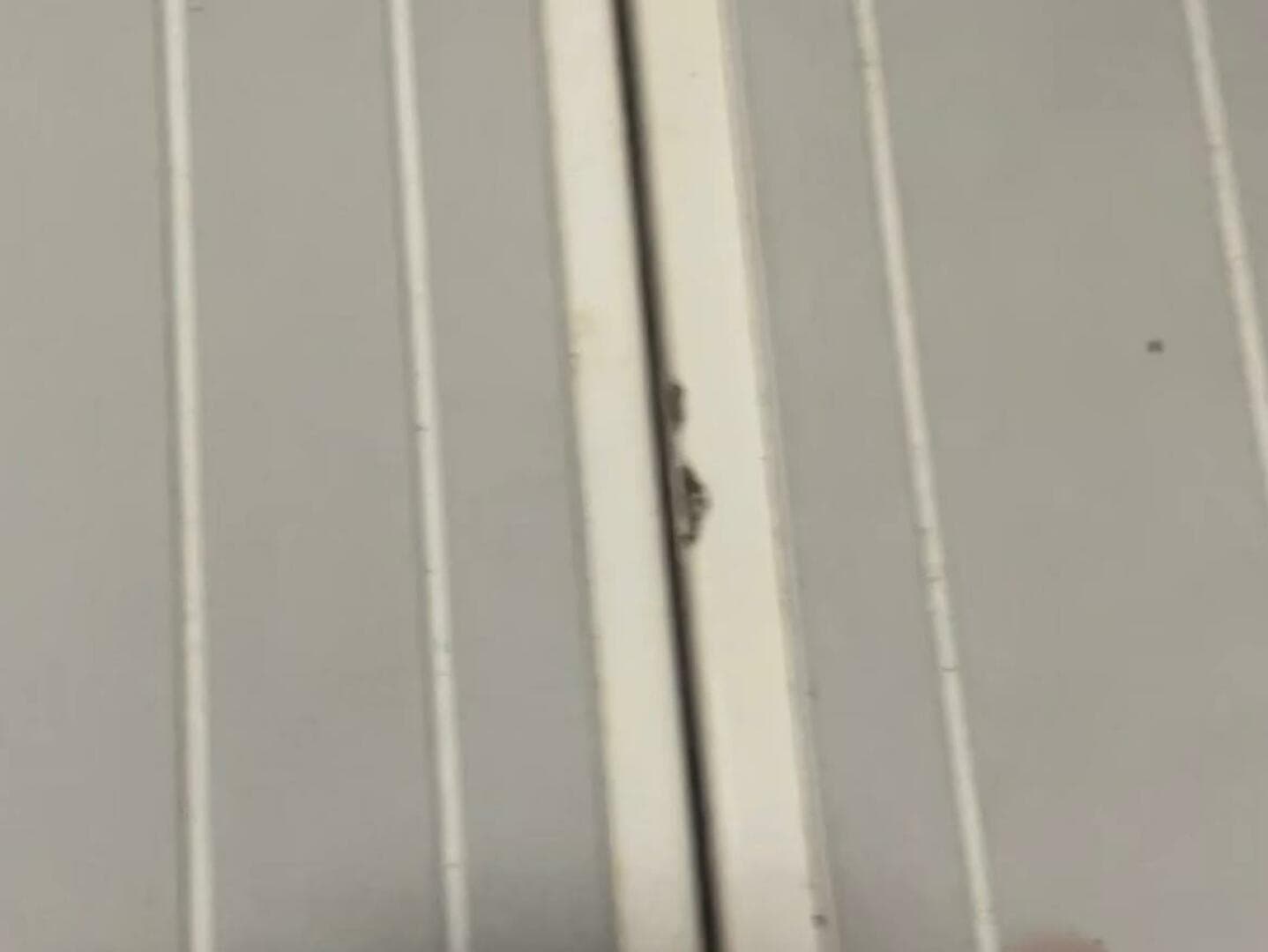 1990 Wellcraft Scarab 30 Cuddy — photo 58