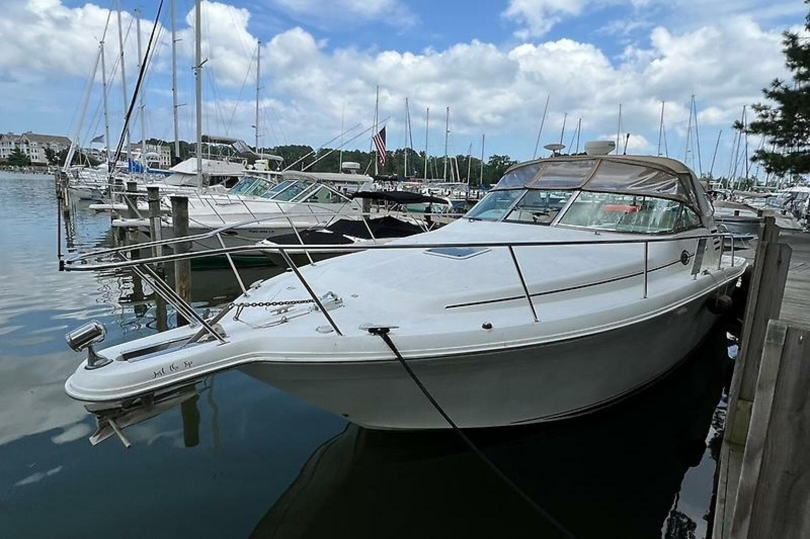 2001 Sea Ray 340 Amberjack — photo 6