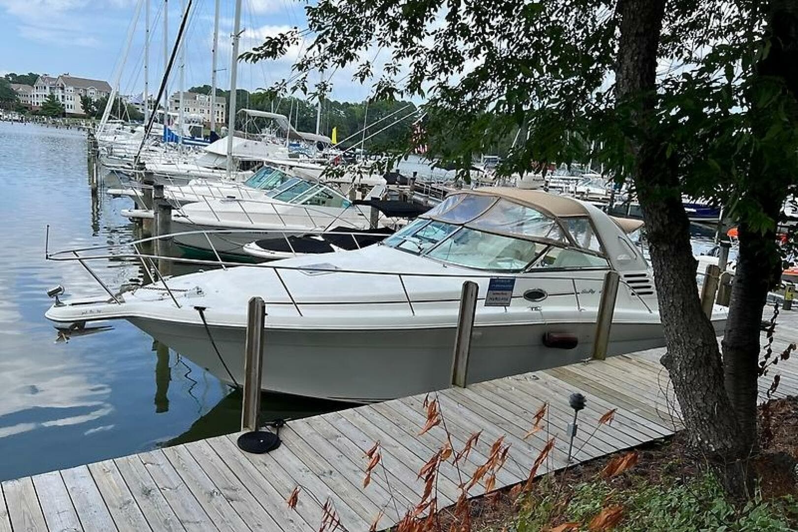 2001 Sea Ray 340 Amberjack — photo 3