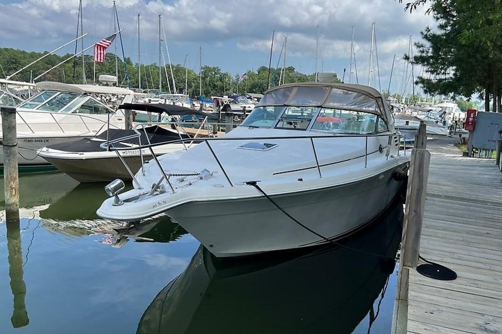 2001 Sea Ray 340 Amberjack — photo 5