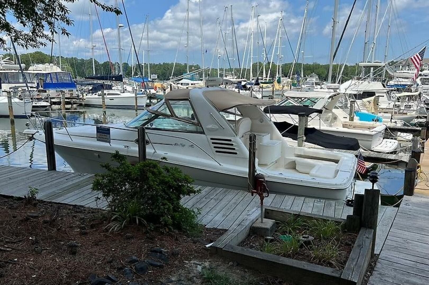 2001 Sea Ray 340 Amberjack — photo 2