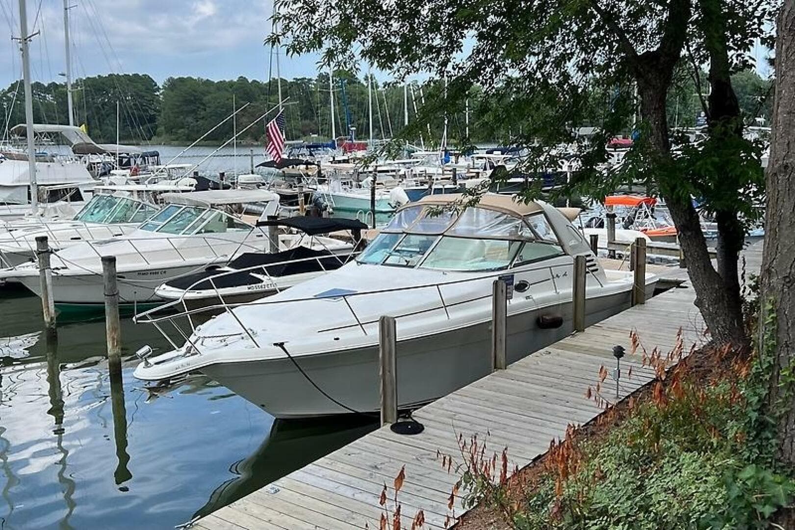 2001 Sea Ray 340 Amberjack — photo 4