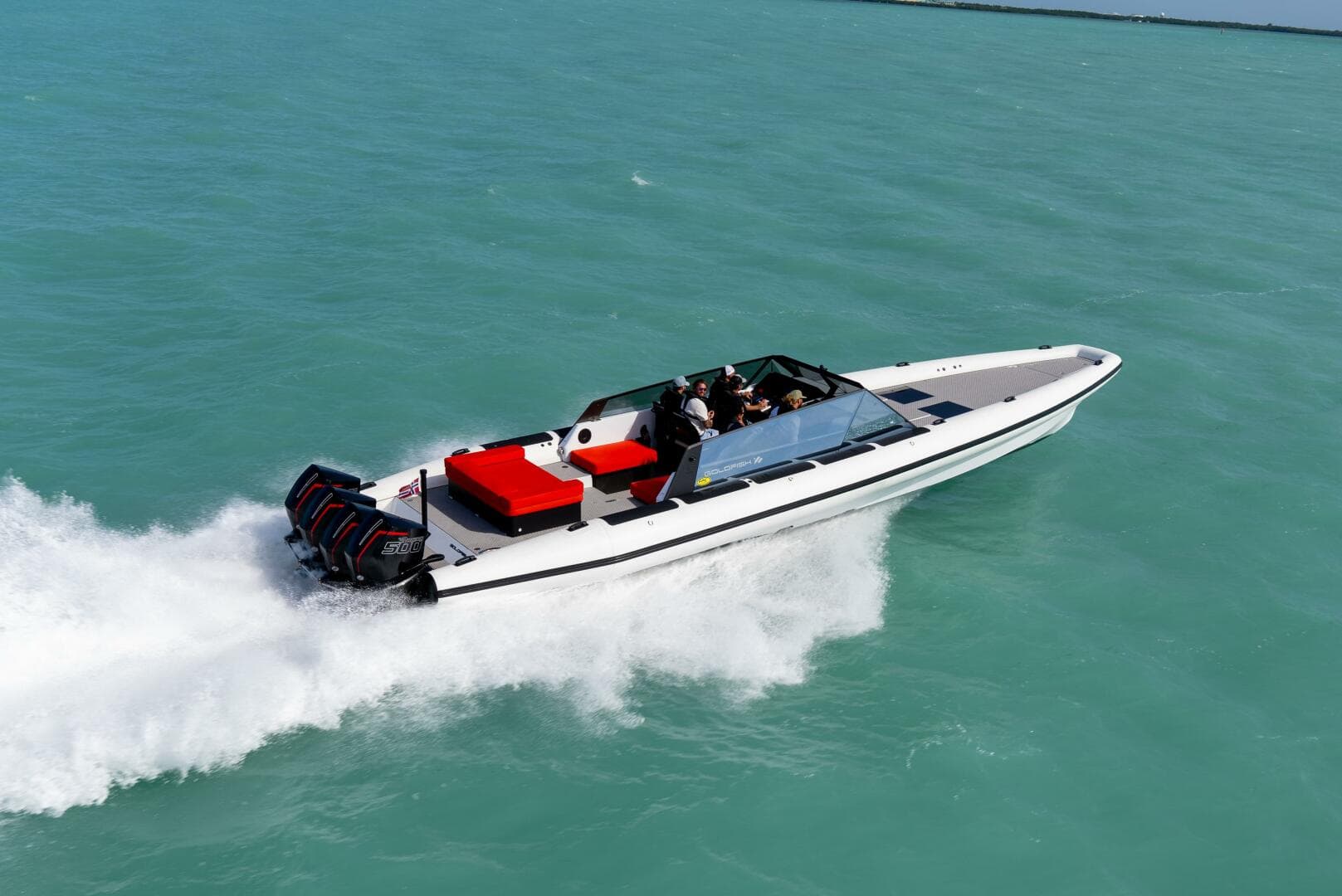 2024 Goldfish — photo 2