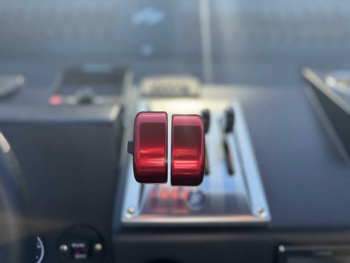 2024 Goldfish — photo 21