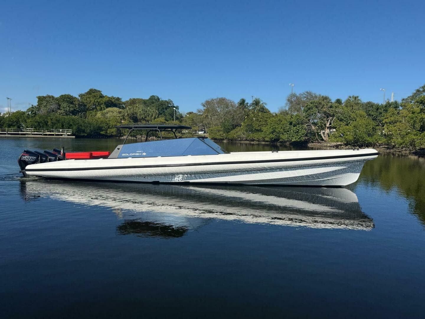 2024 Goldfish — photo 3