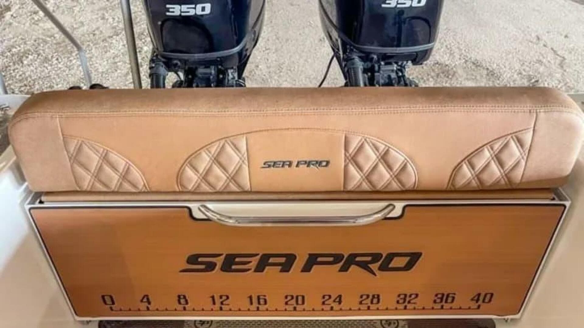 2025 Sea Pro — photo 10