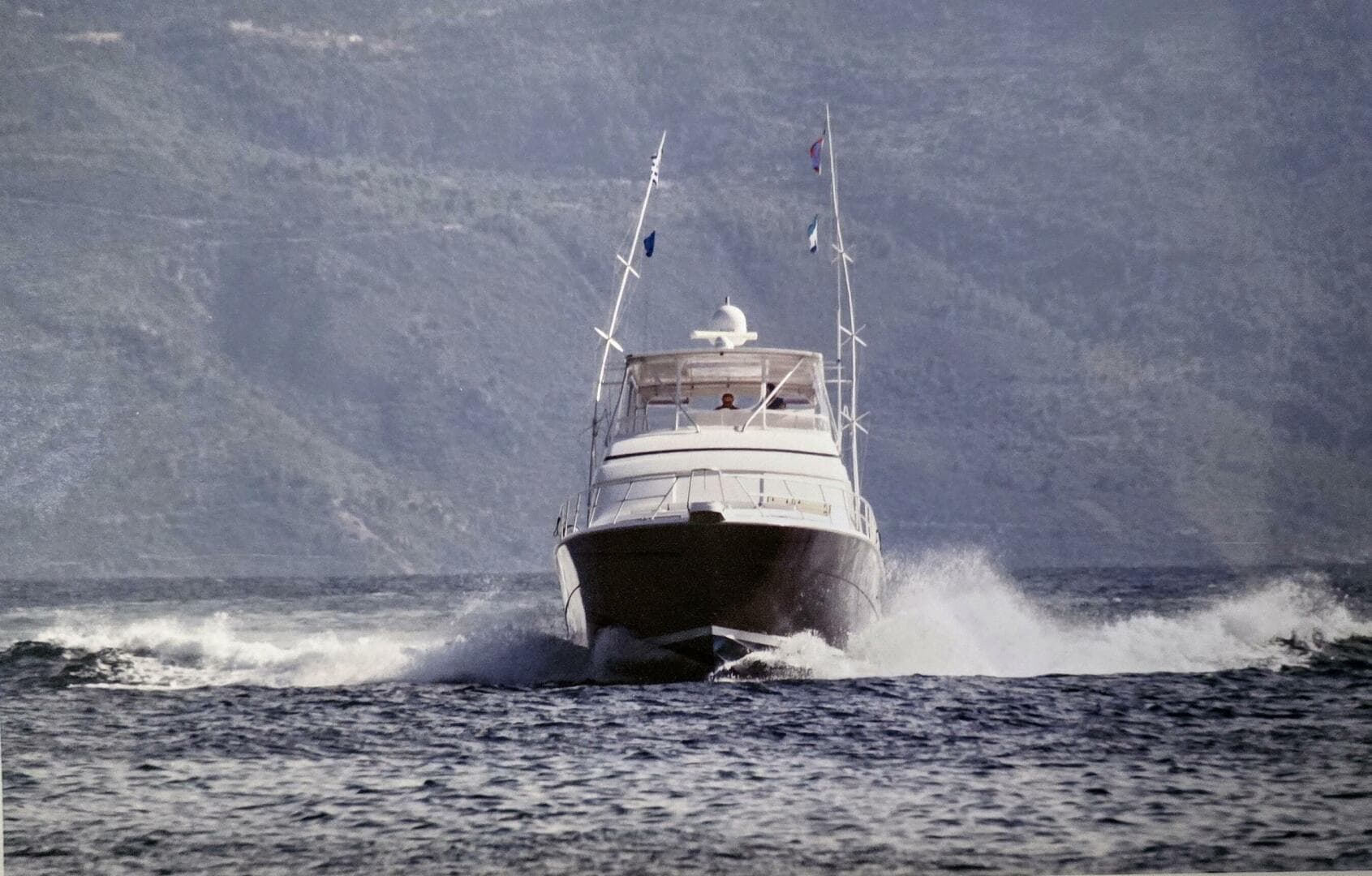 2006 Bertram Sport Fish — photo 5