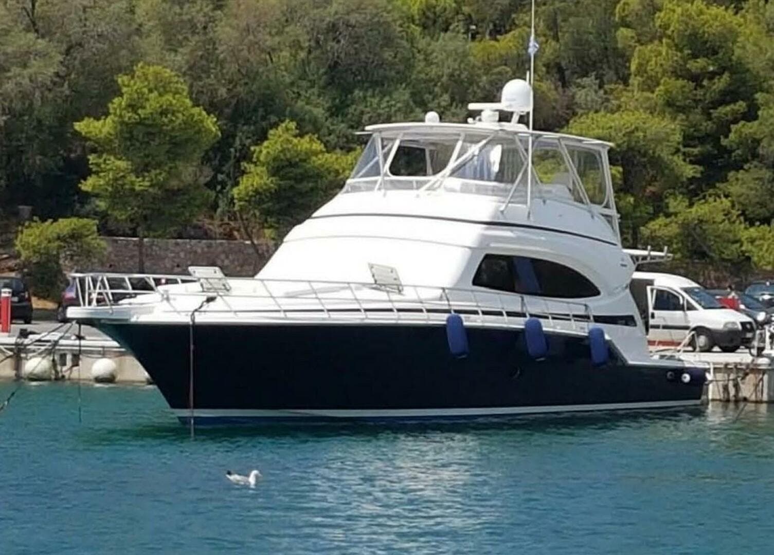 2006 Bertram Sport Fish — photo 4