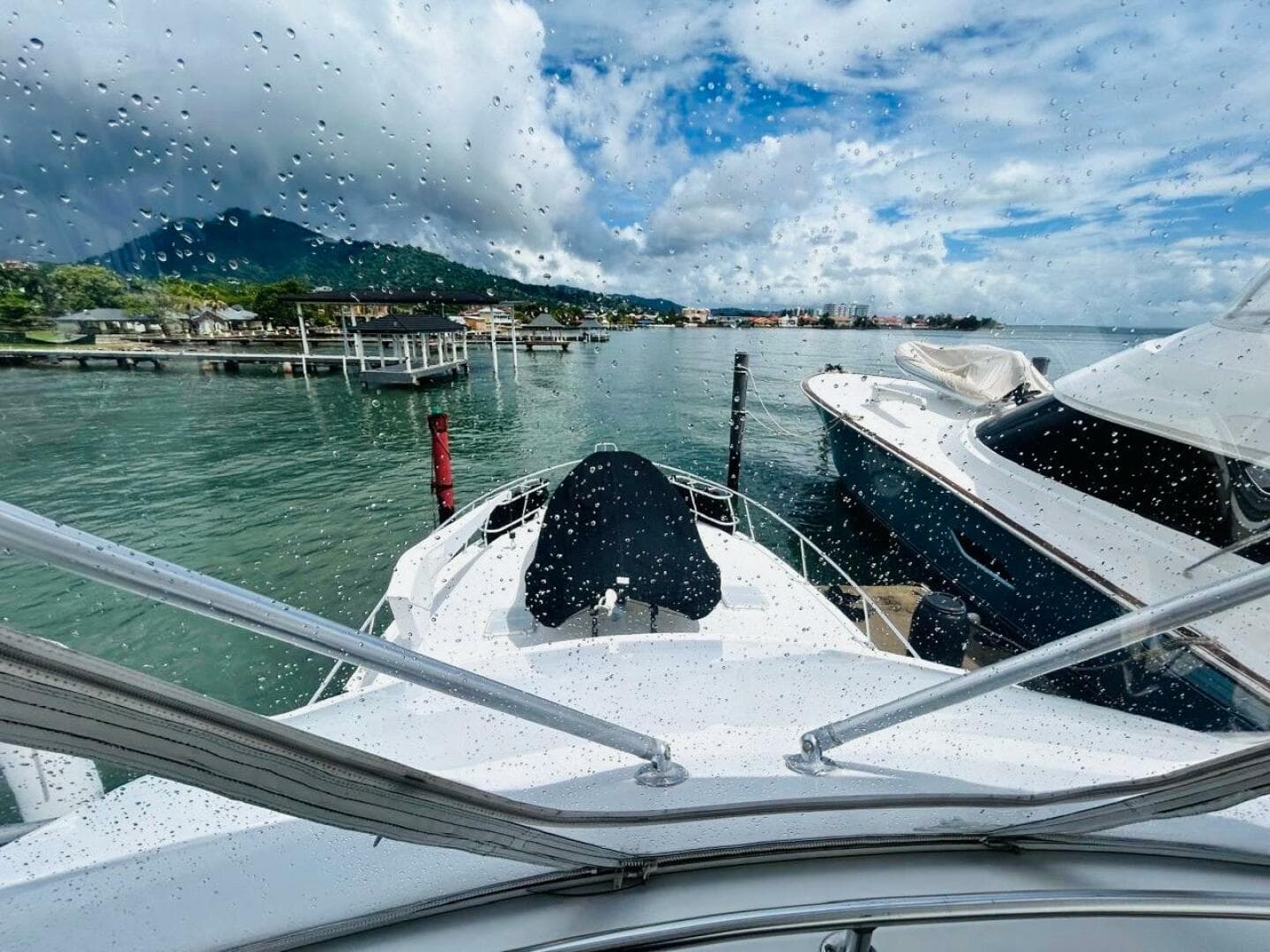 1988 Bertram 54 — photo 4