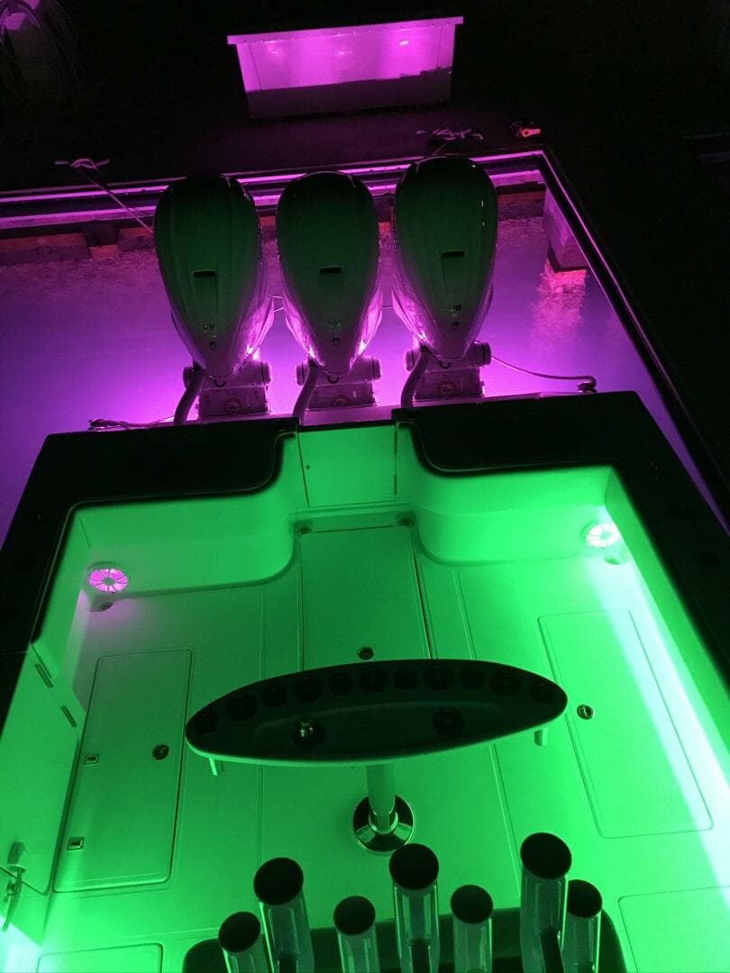 2020 Seahunter 39 Tournament — photo 20