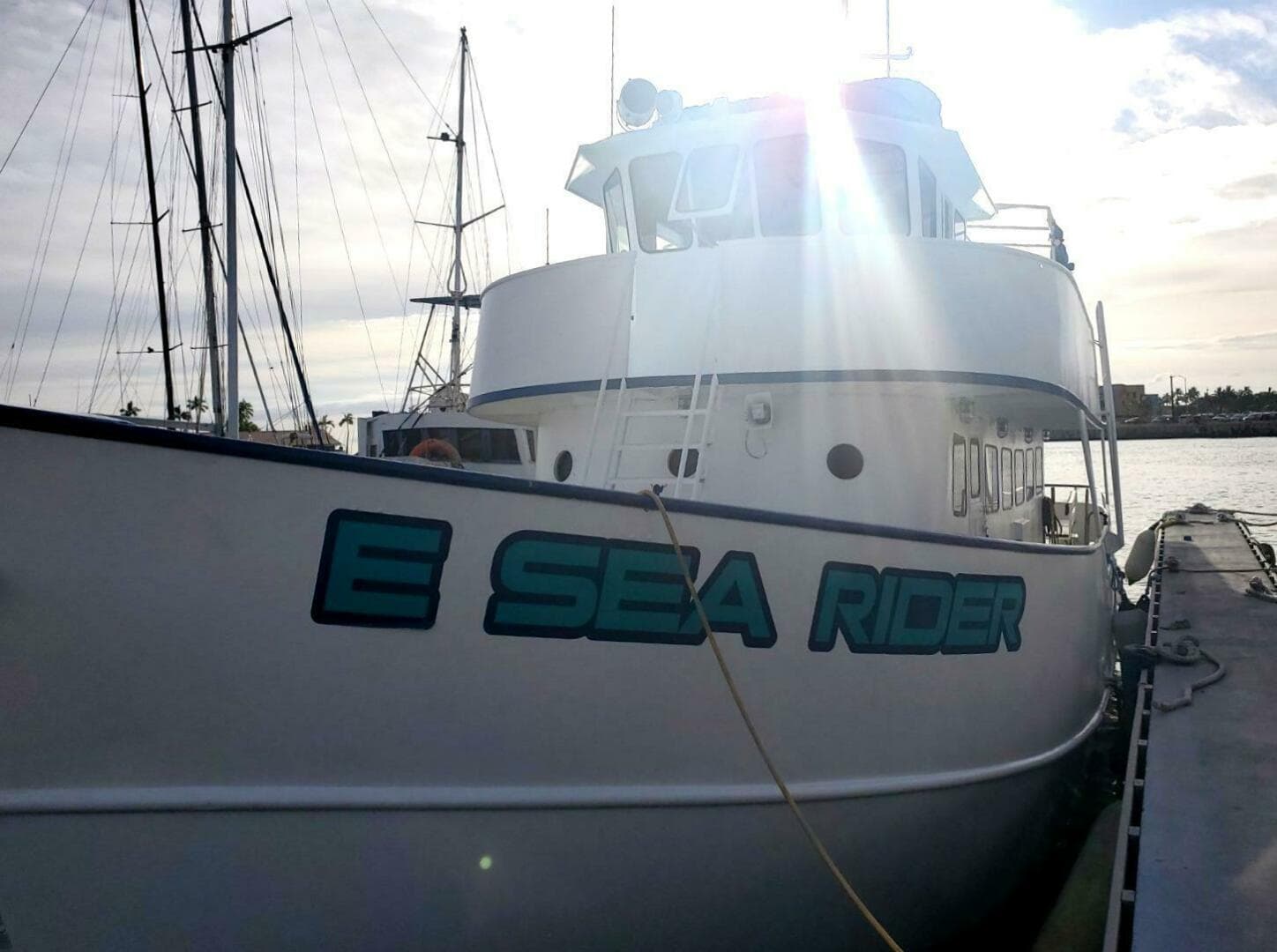 1982 Custom Commercial Steel Passenger — photo 3