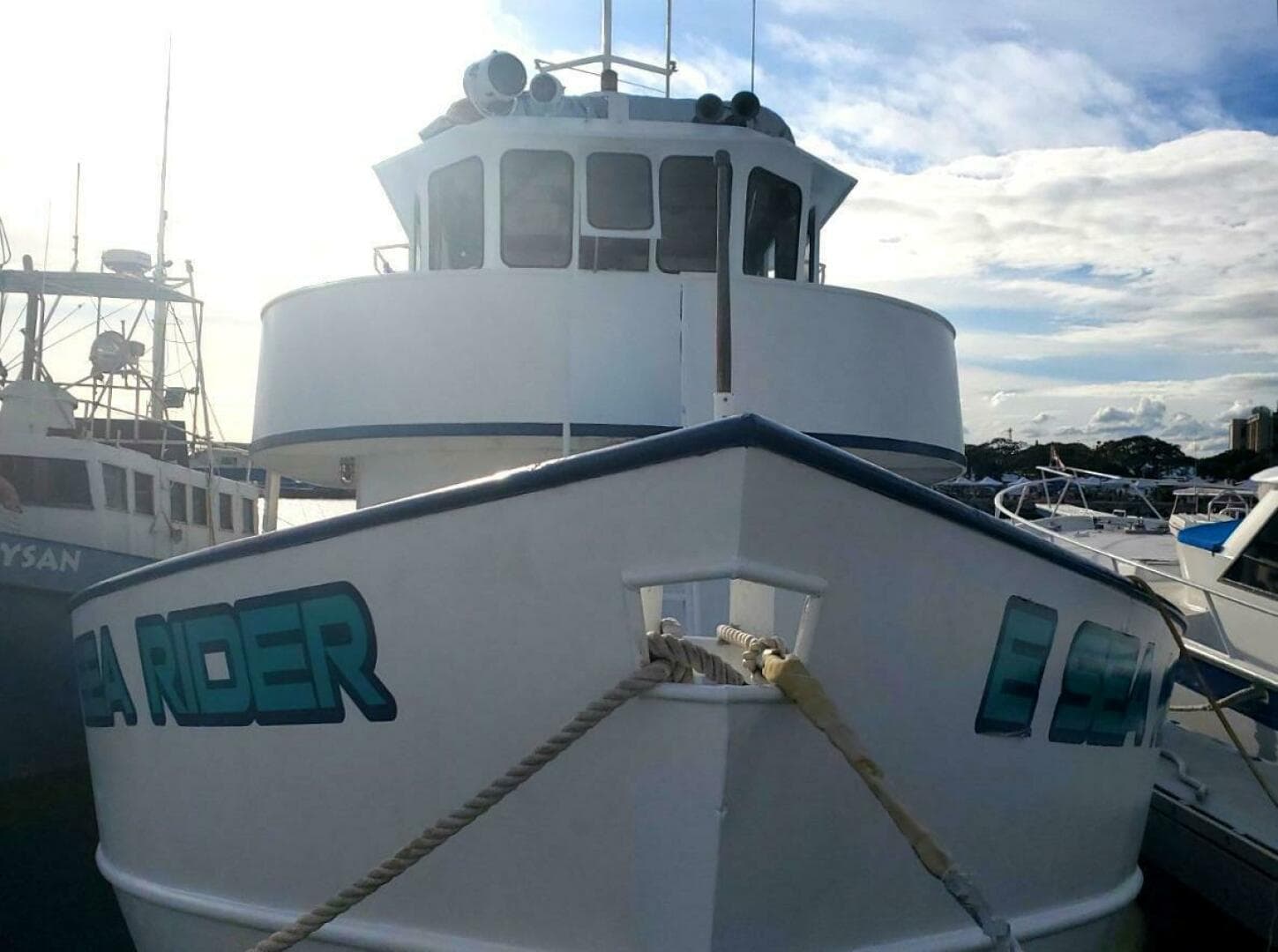 1982 Custom Commercial Steel Passenger — photo 2