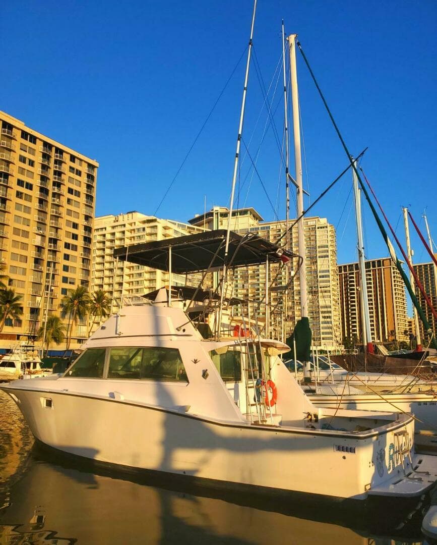 1979 Bertram 38 Convertible Sportfisher — photo 17