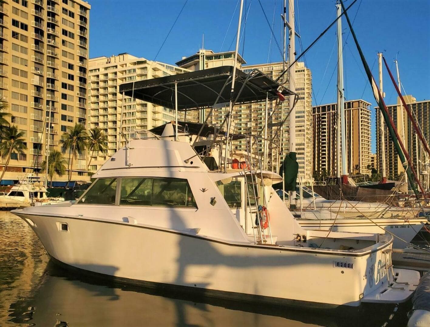 1979 Bertram 38 Convertible Sportfisher — photo 1