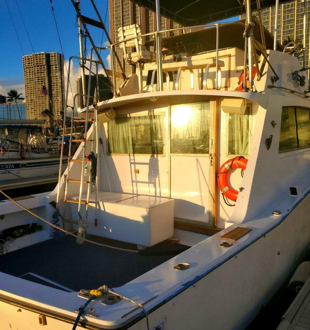 1979 Bertram 38 Convertible Sportfisher — photo 15