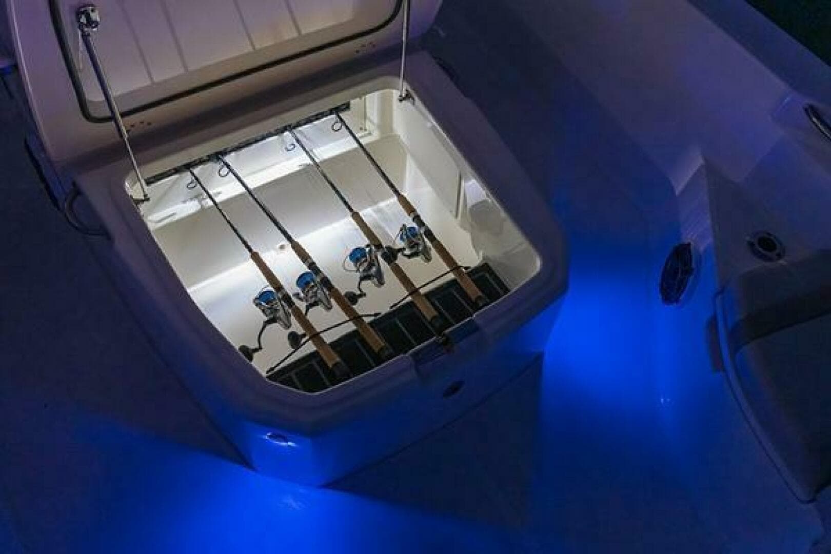 2023 Boston Whaler 250 Dauntless — photo 6