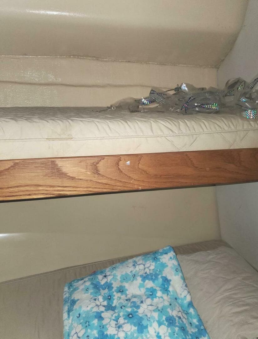 1988 Bertram 37 Convertible — photo 9