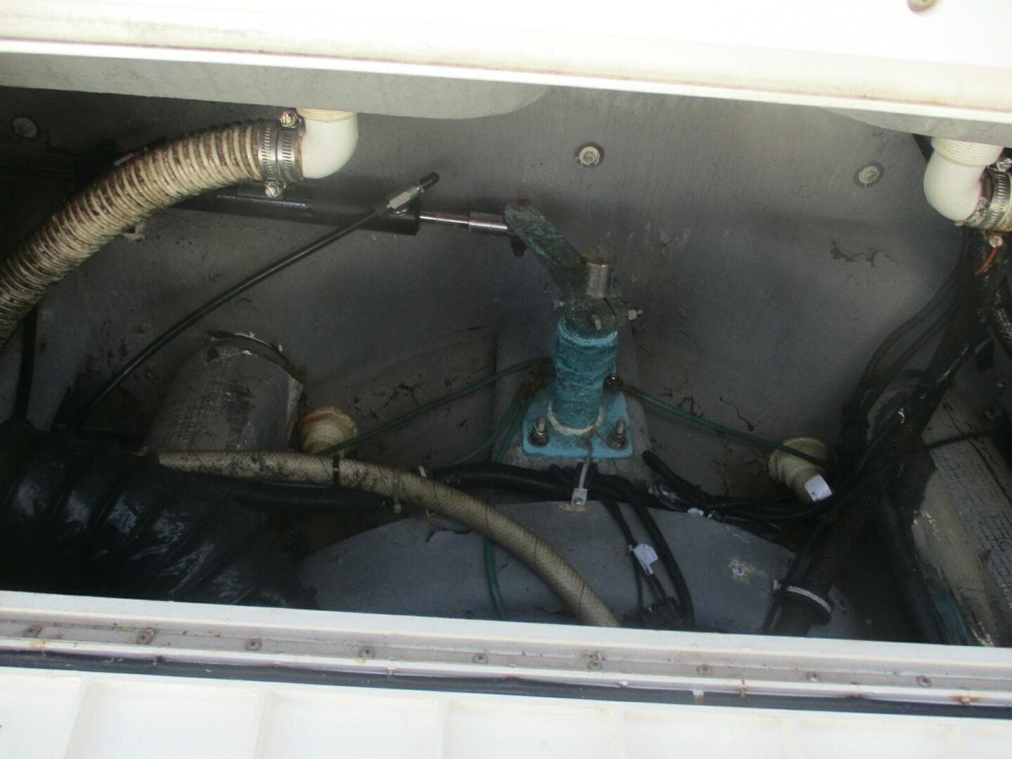 2001 Shamrock — photo 15