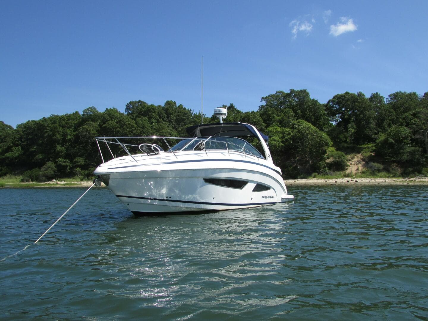 2015 Regal Express — photo 4