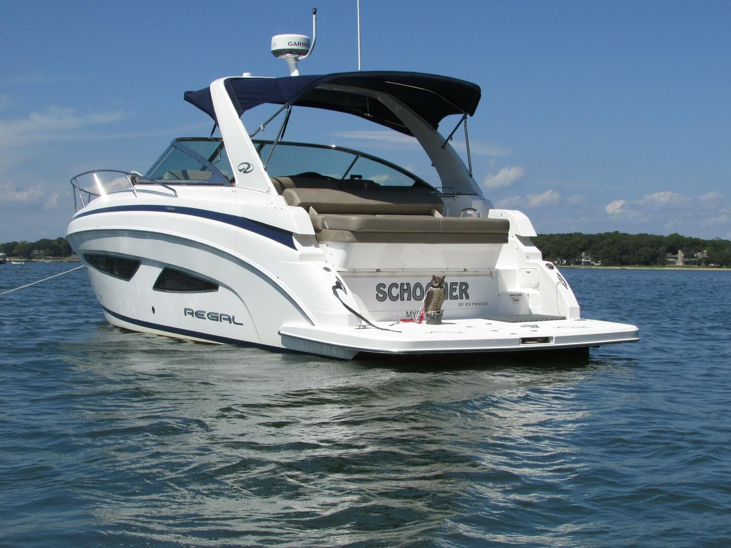 2015 Regal Express — photo 2