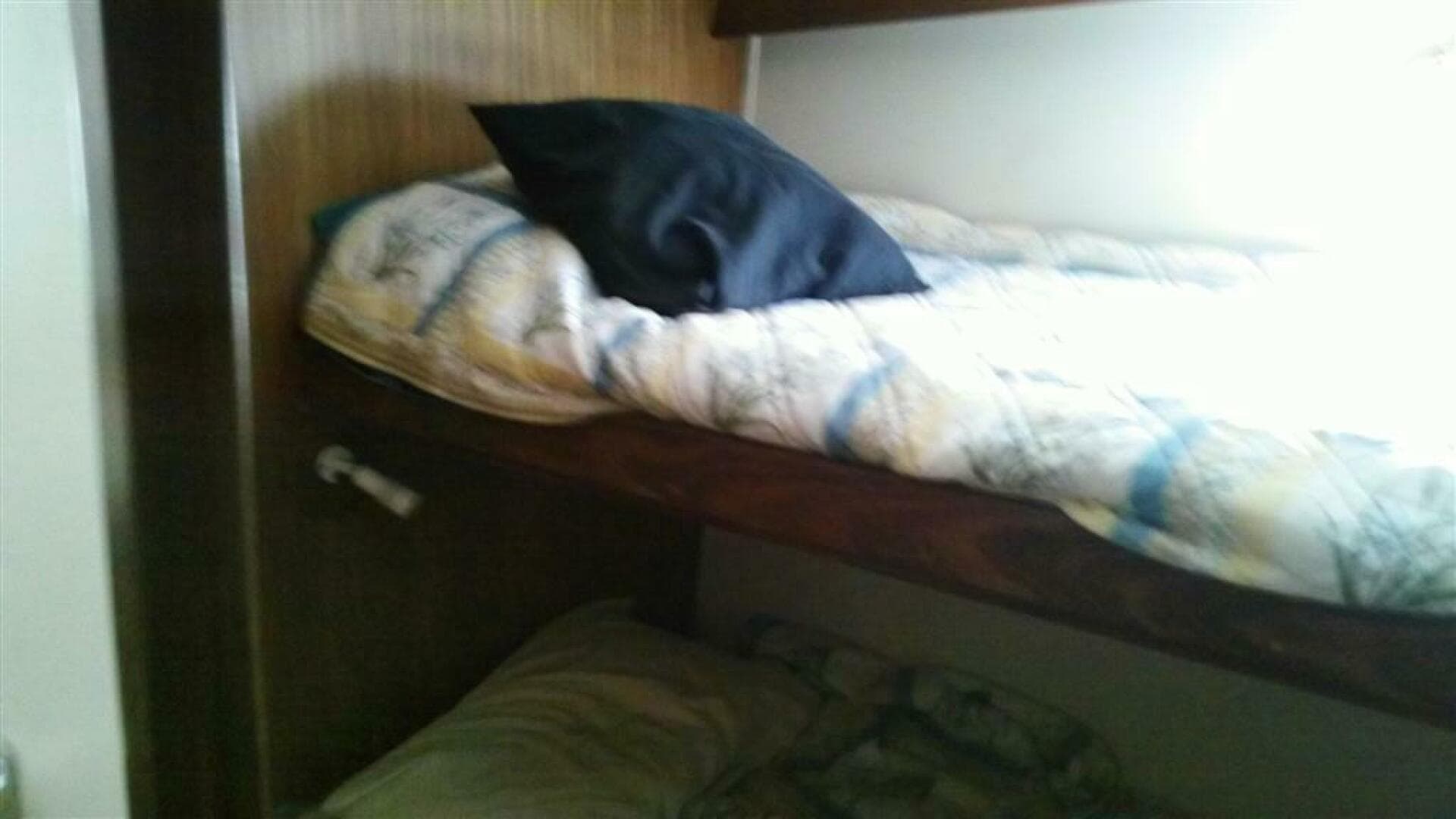 1987 Hatteras — photo 6