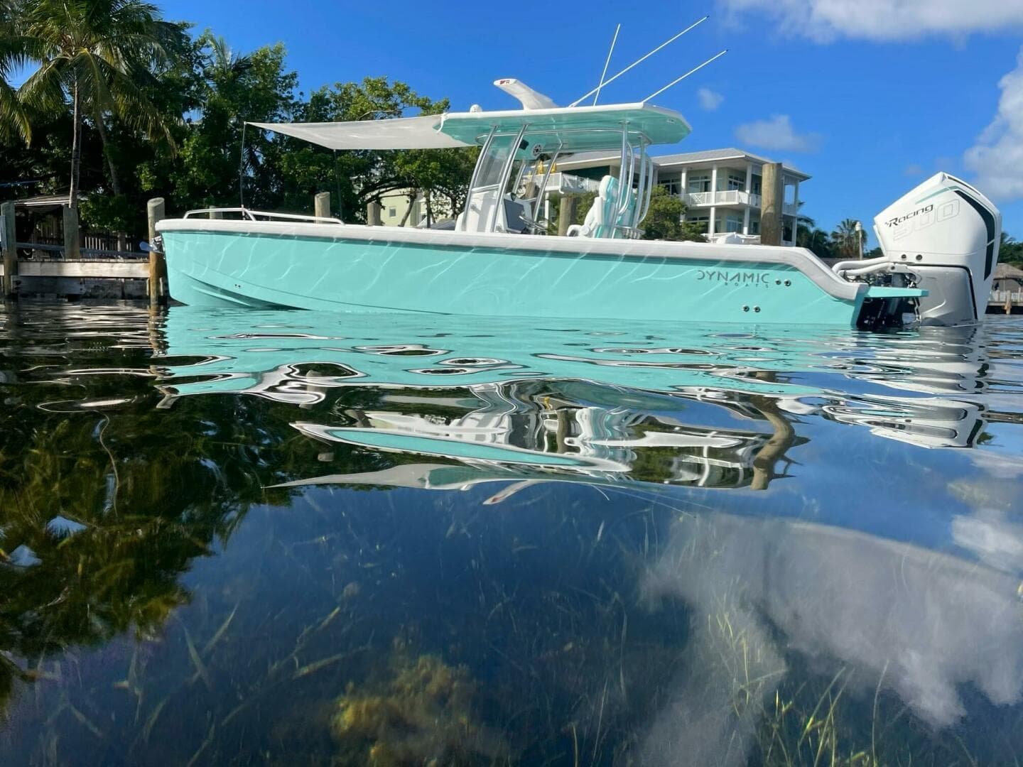 2024 Dynamic D-305V — photo 1