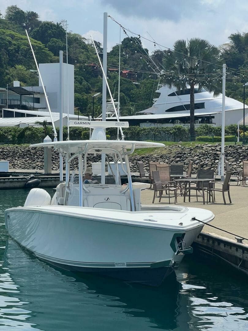 2016 Jupiter — photo 1