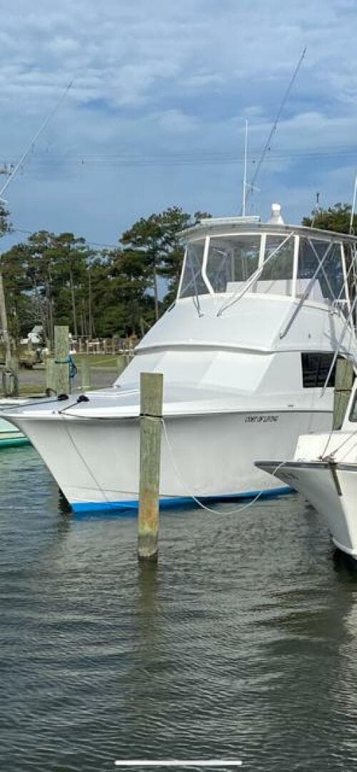 1985 Bertram — photo 23