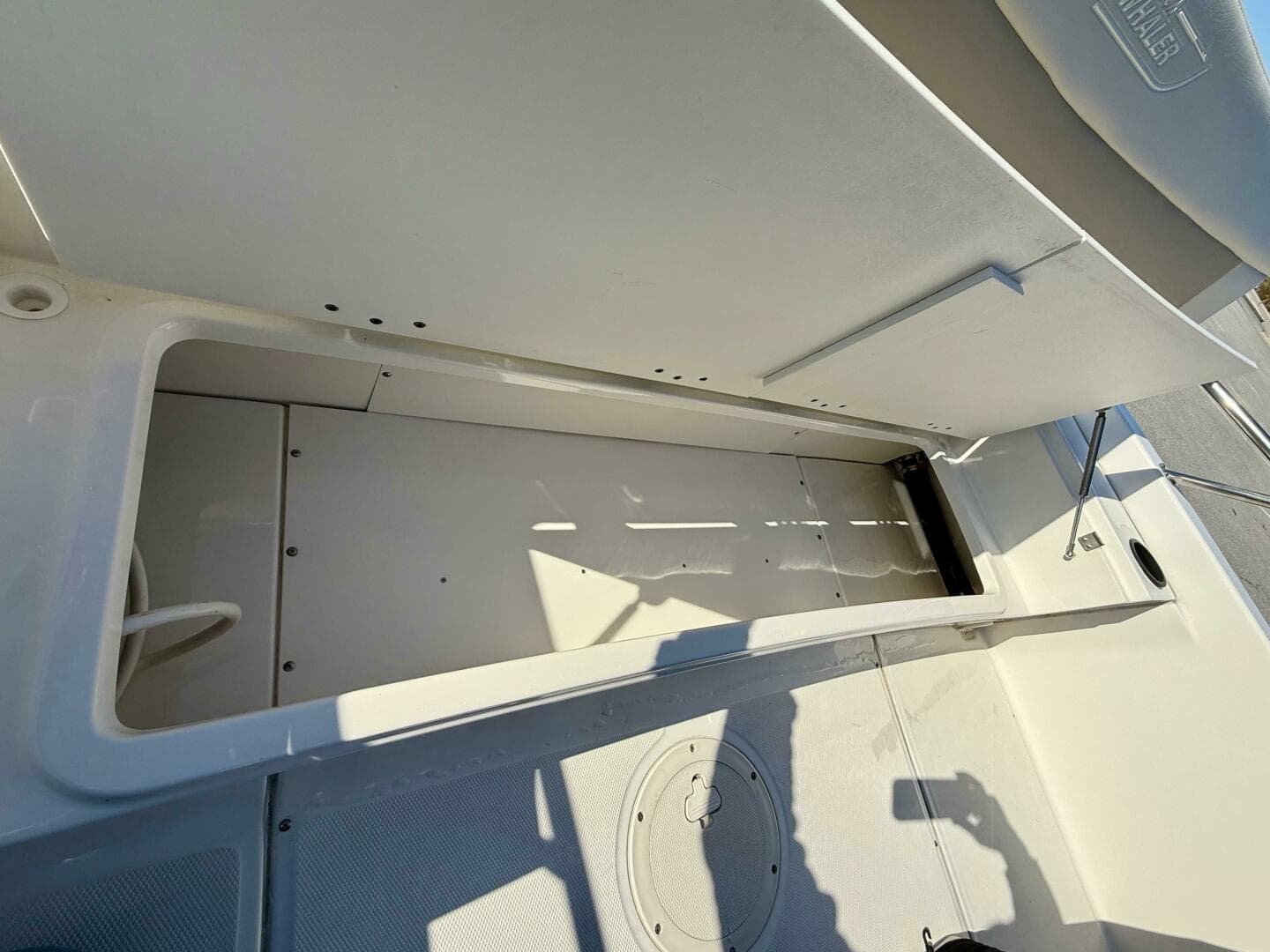 2020 Boston Whaler 210 Dauntless — photo 17