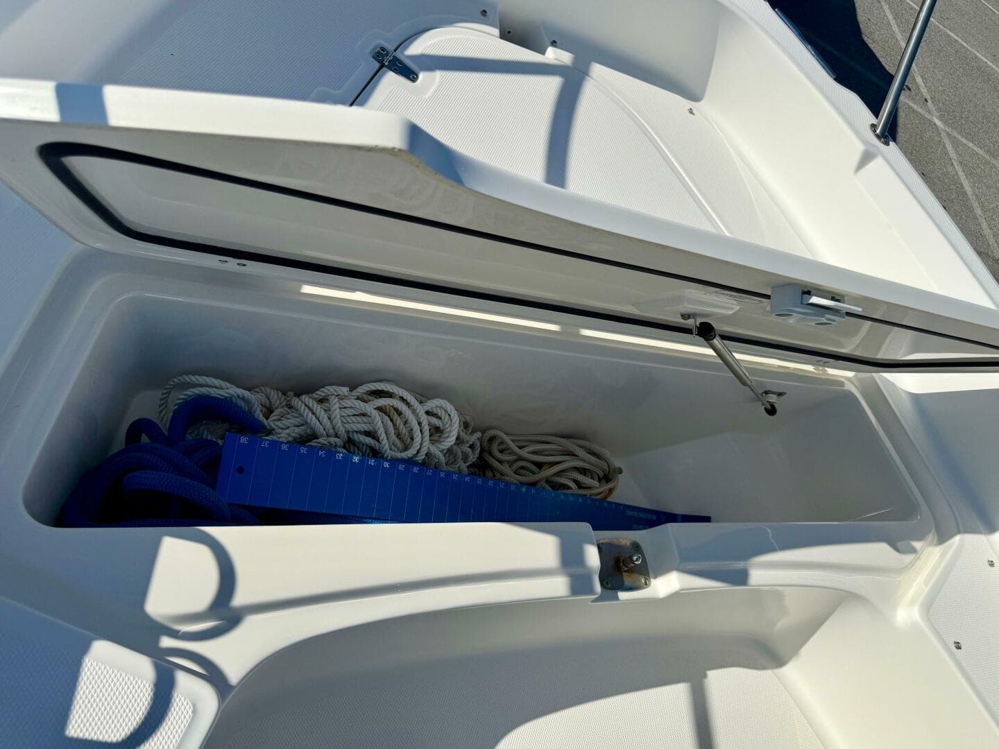 2020 Boston Whaler 210 Dauntless — photo 40