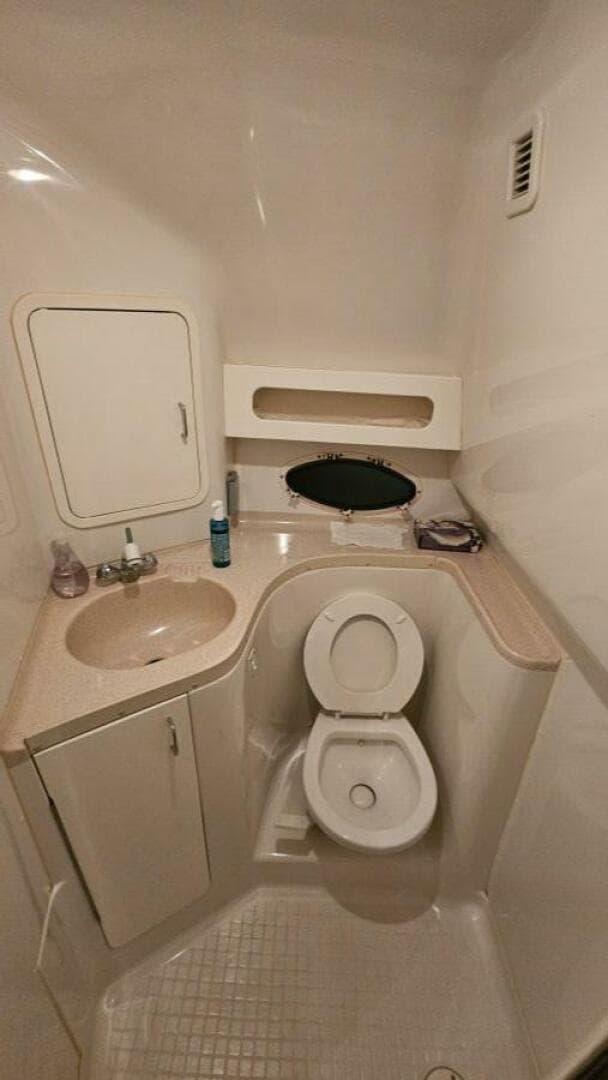 1998 Chris-Craft 320 Express Cruiser — photo 28