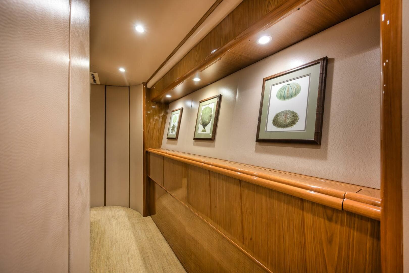 2012 Viking — photo 63