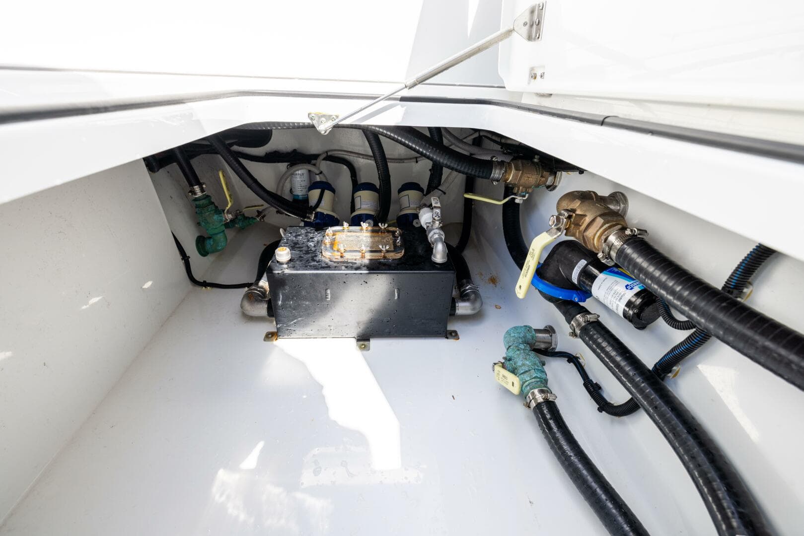 2023 Freeman — photo 33