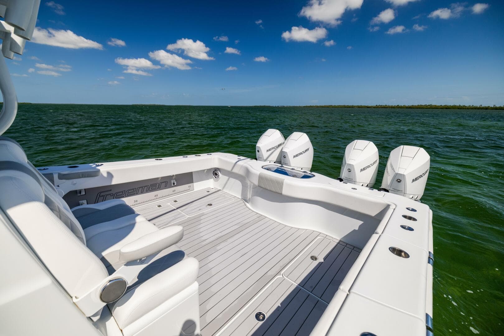 2023 Freeman — photo 29