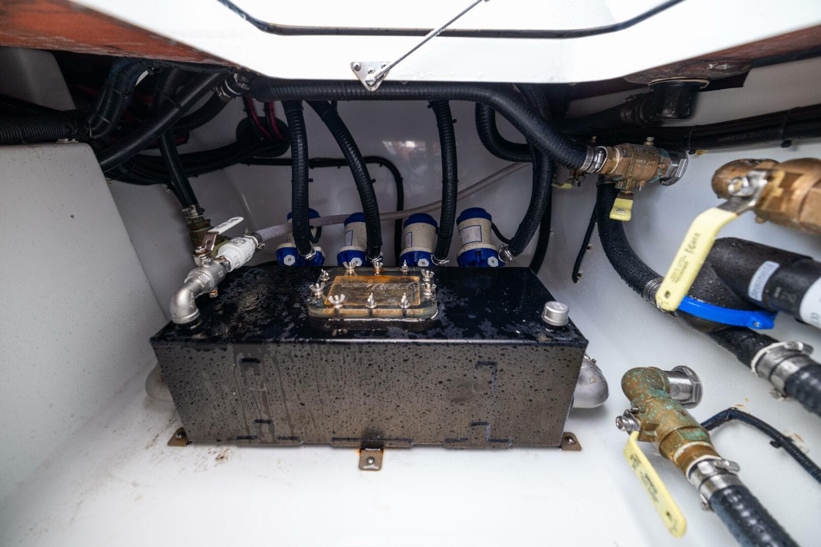 2026 Freeman — photo 32