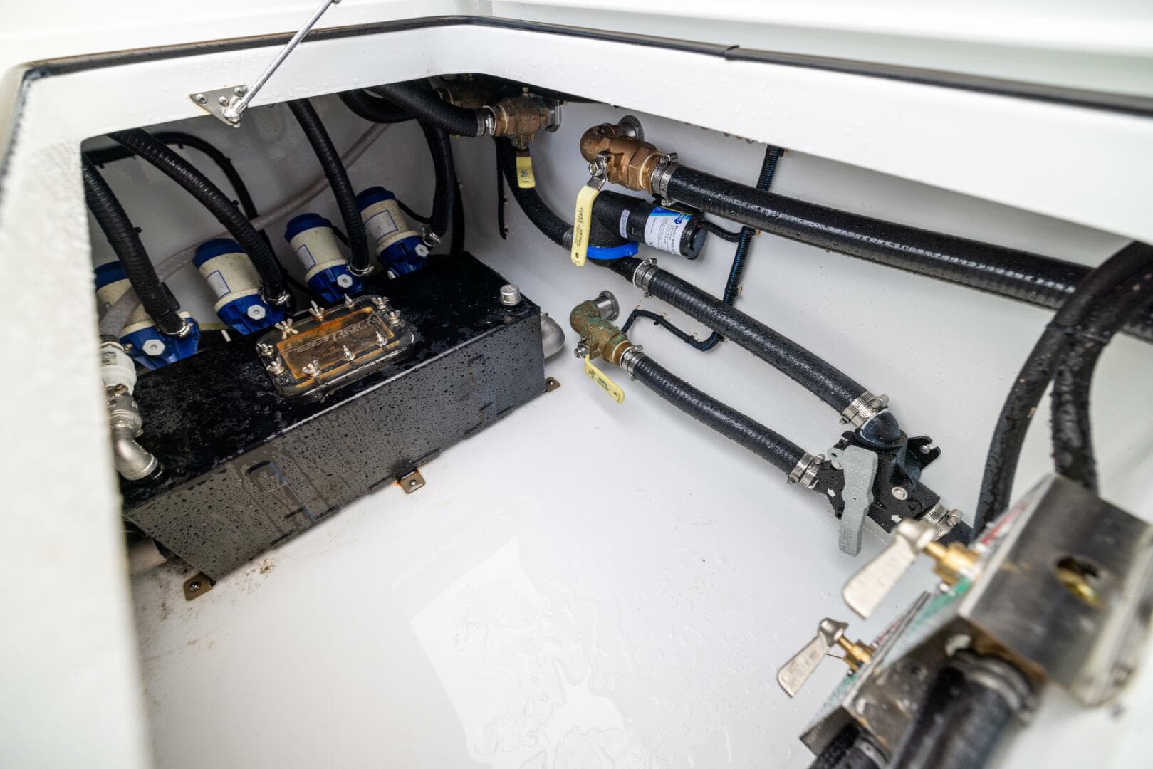 2026 Freeman — photo 31