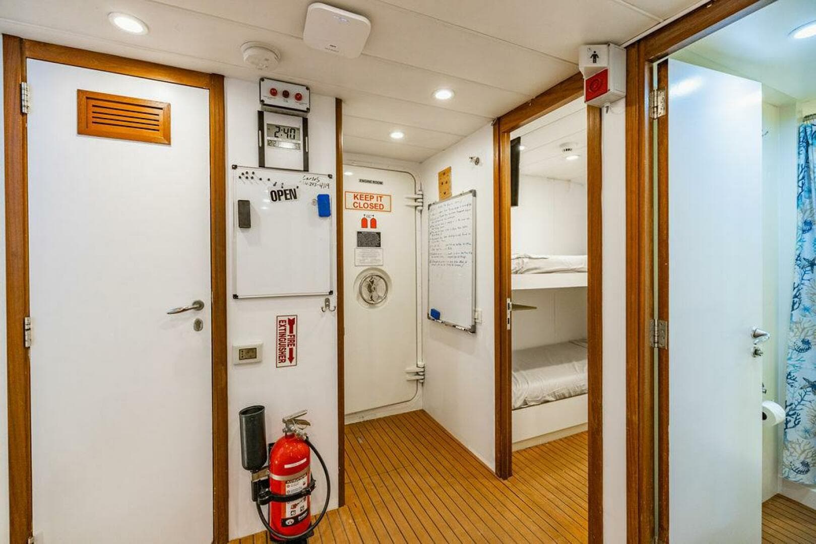 2011 Mengi Yay 115 — photo 72